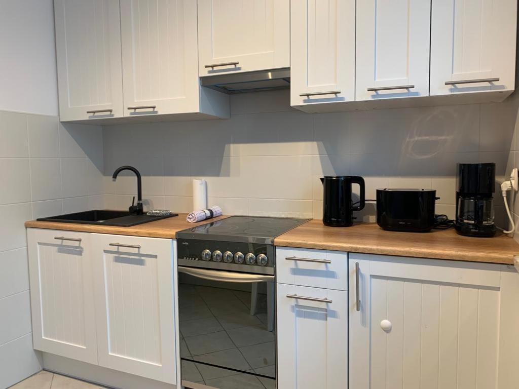 Apartament Zieleniec Торунь Экстерьер фото